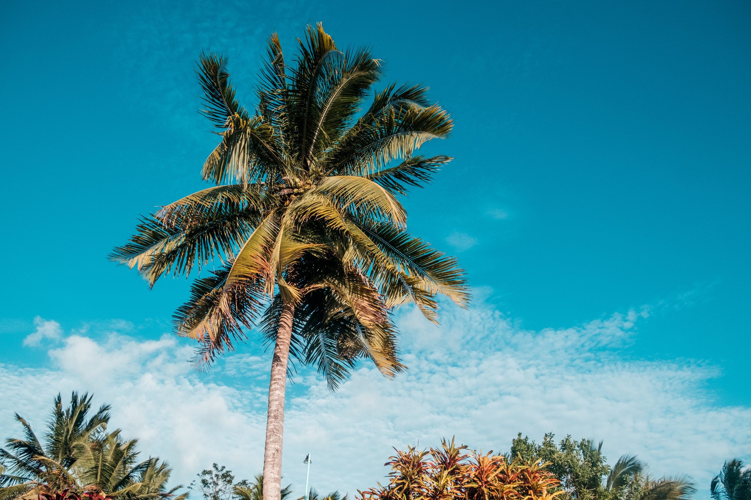 The Do's and Don'ts of Buying Real Estate in Belize